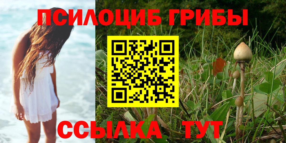 Петрозаводск  Галлюциногенные грибы MAGIC MUSHROOMS  Вход с VPN 